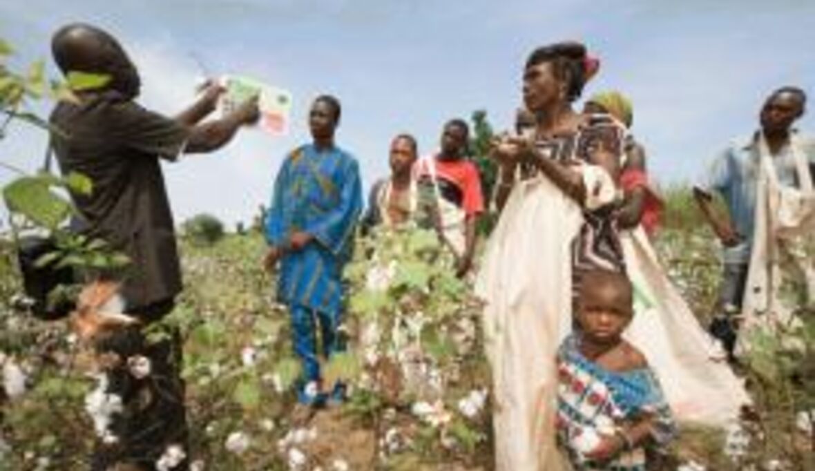 OTTO Österreich unterstützt Cotton made in Africa