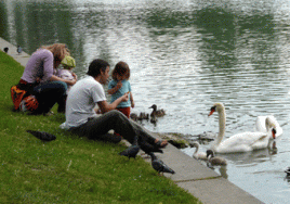 In allen Ländern wurde die hohe Bedeutung der Familie hervorgehoben. Foto: Dolorix, flickr.com