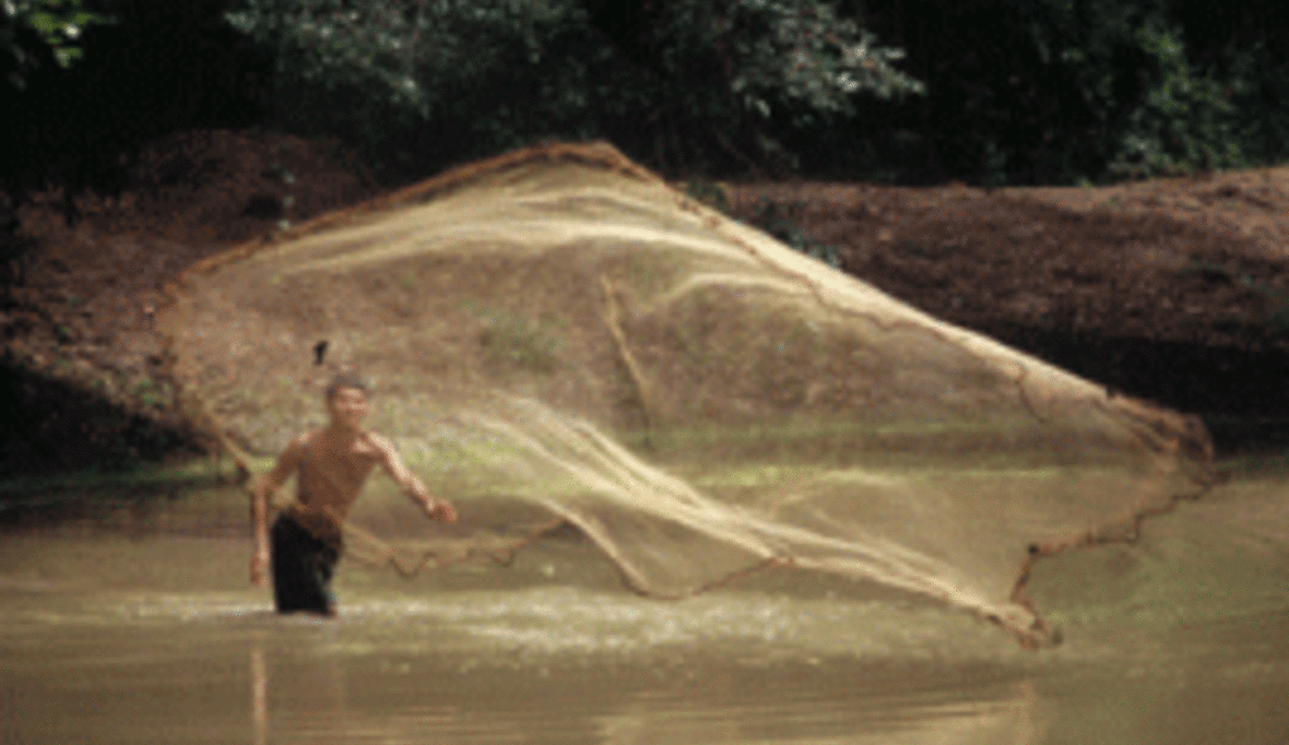 Mekong-Fluss: Konflikte um Wasser eskalieren