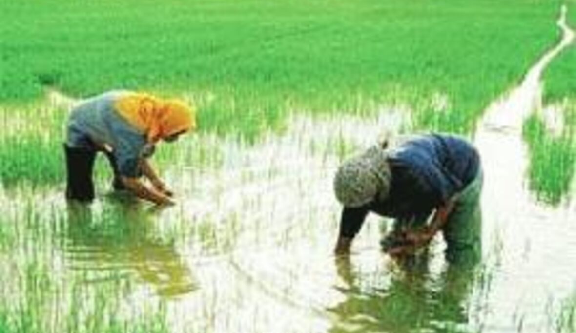 Asiens Wasserprobleme verschlimmern sich 