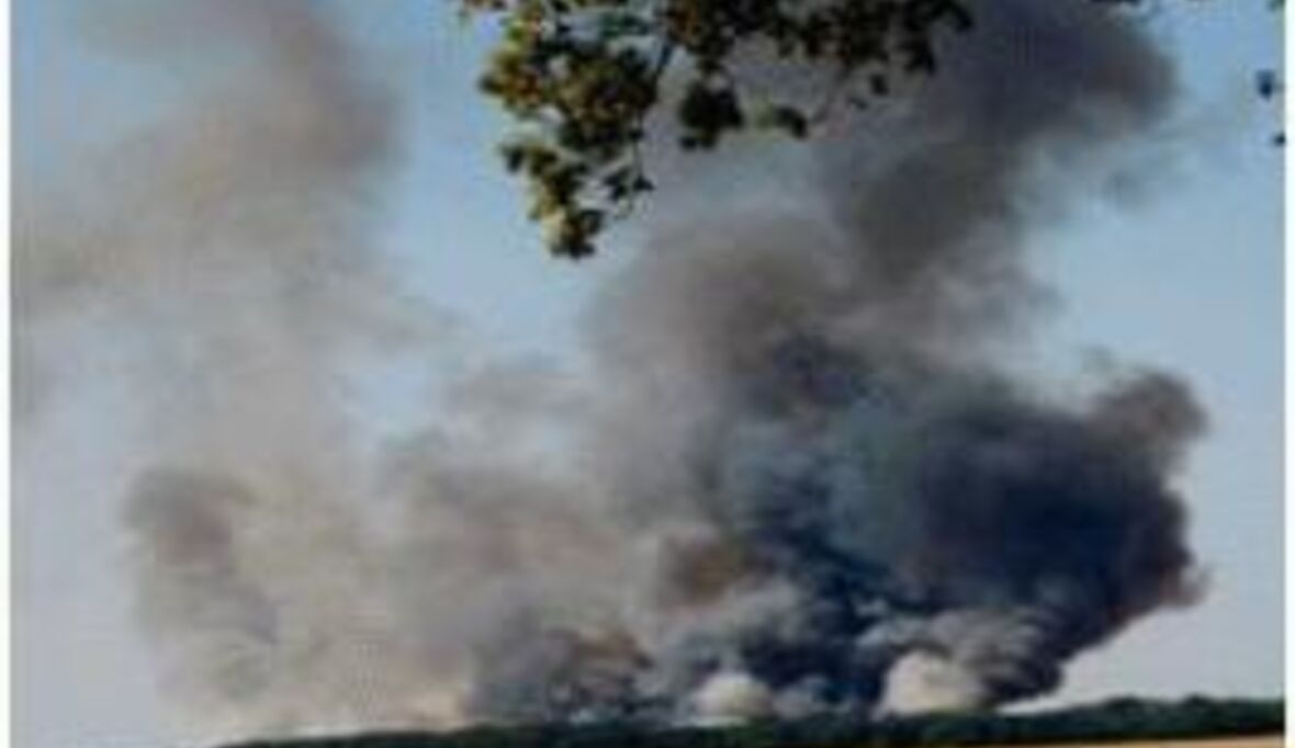 Bilanz der Waldbrände in Griechenland